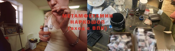 ГАЛЛЮЦИНОГЕННЫЕ ГРИБЫ Инсар