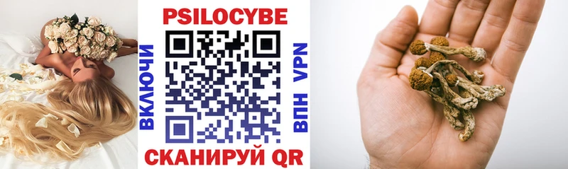 Псилоцибиновые грибы ЛСД  купить наркотик  Воркута 