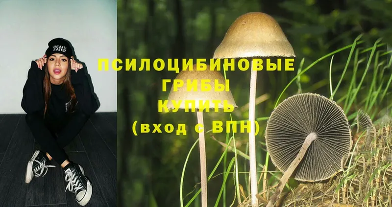 Галлюциногенные грибы Magic Shrooms  Воркута 