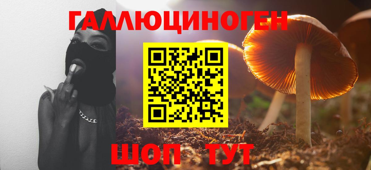 цена   Воркута  Псилоцибиновые грибы Psilocybe  Псилоцибиновые грибы Magic Shrooms 