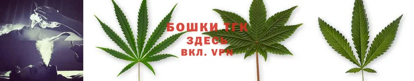 закладки  Воркута  Бошки марихуана OG Kush 